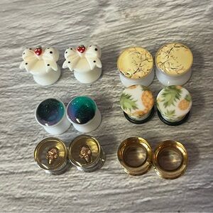 Assorted Plug Earrings Set Of 6